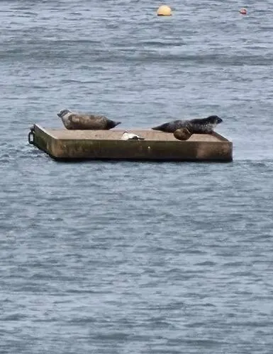 Διαμέρισμα Calming Sea View Εδιμβούργο