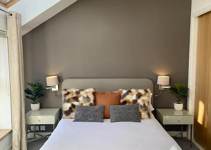 Penthouse 101 *