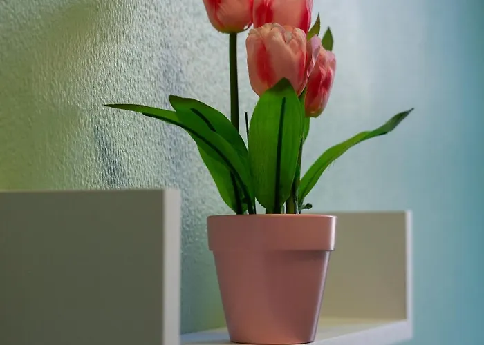 Διαμέρισμα The Eden Apartment, Center Εδιμβούργο