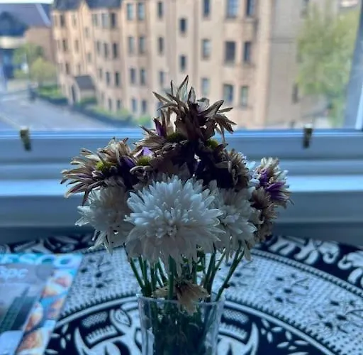 Edinburghs Arthurs Seat View