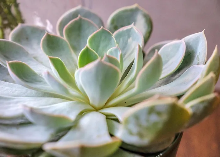 Lejlighed Guestready - Serenity Flat Near St. Centre *