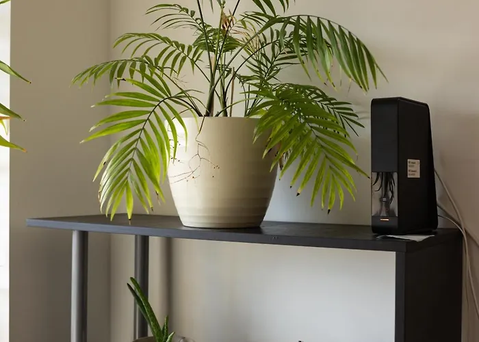 Comfy 2 Bedroom Near Centre Tatil Evi