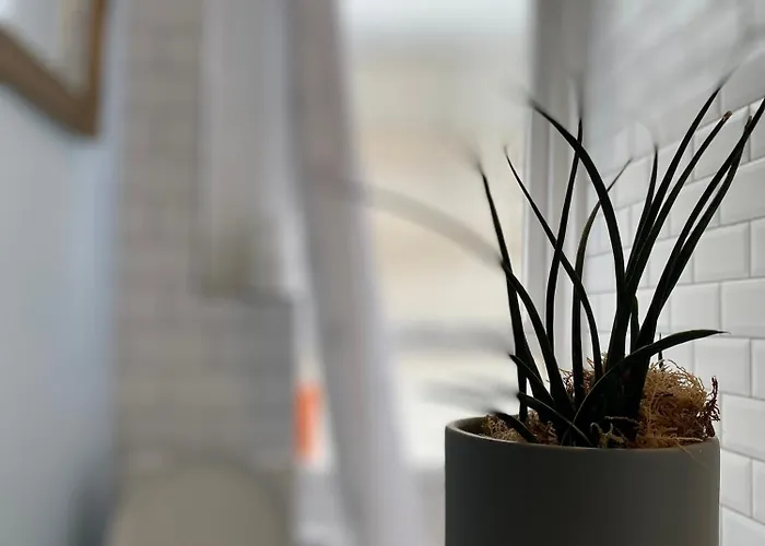 דירה Charming 1 Bedroom