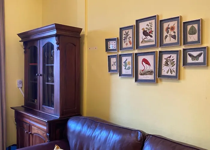 Charming 1 Bedroom דירה *