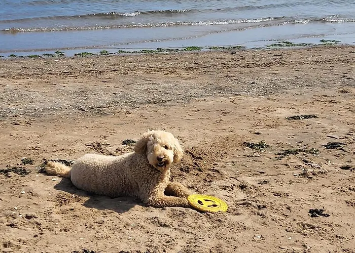 בית אירוח Wonderwall - Huge Garden In Luxury House - Free Parking *