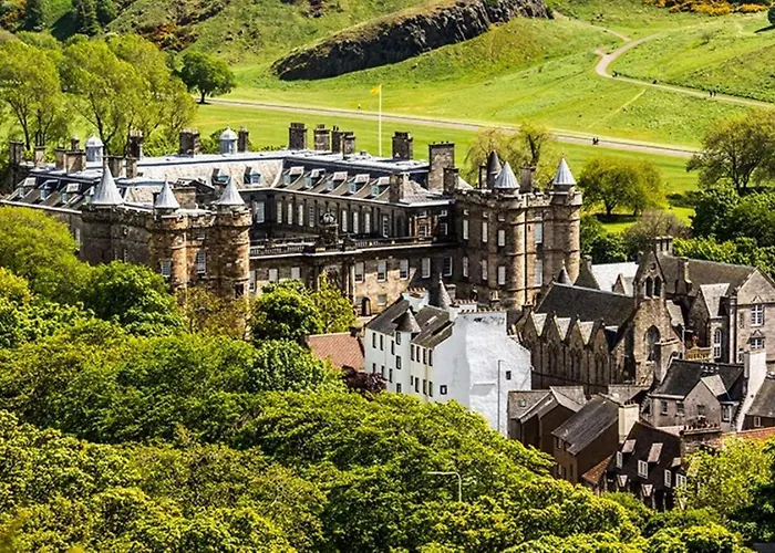Arthur's Seat Nest *