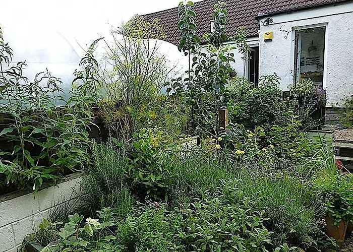 Cosy Cottage For Share , Private Double Room, Wifi, Parking, Garden לינה וארוחת בוקר אדינבורו