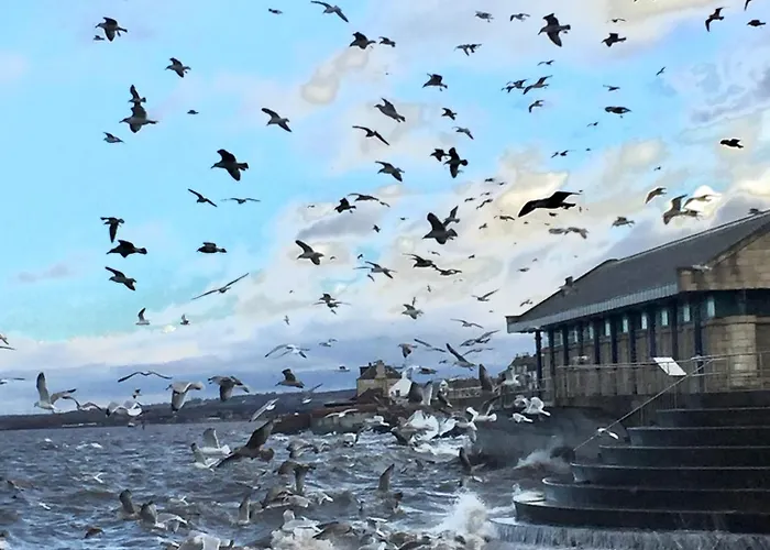 Loft In Joppa Lejlighed