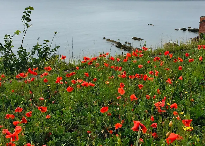 Lejlighed Loft In Joppa *