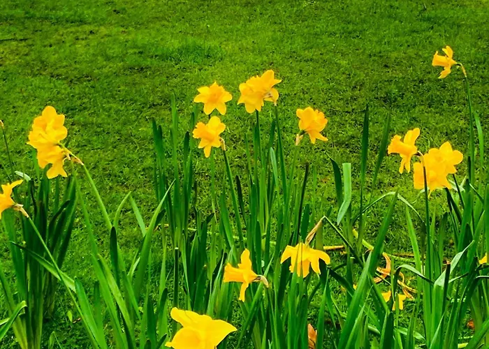 Δωμάτια σε οικογενειακή κατοικία 1 Bed - 10 Min Walk To Castle *