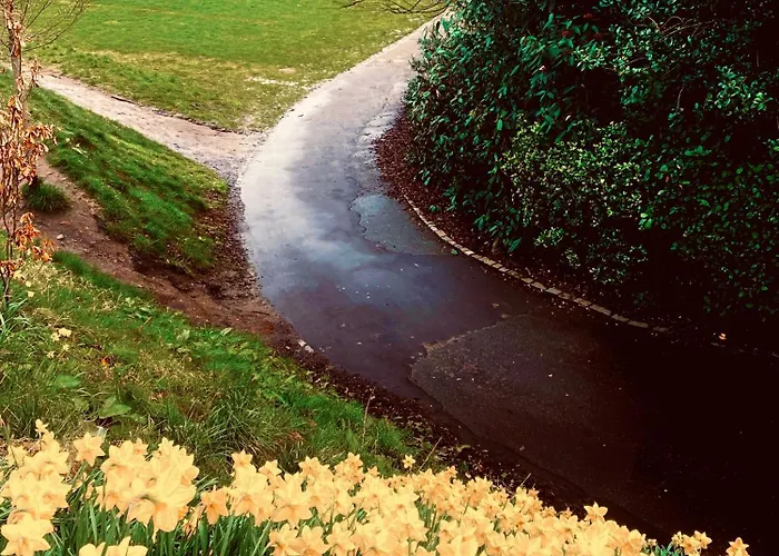 1 Bed - 10 Min Walk To Castle *