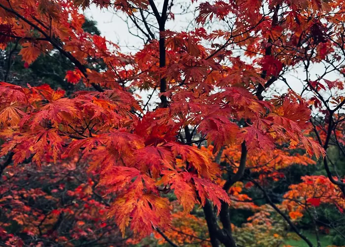 1 Bed - 10 Min Walk To Castle *