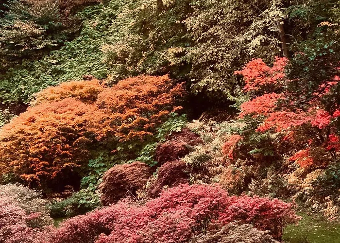 1 Bed - 10 Min Walk To Castle Εδιμβούργο