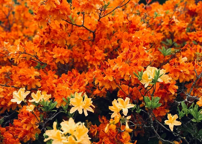 1 Bed - 10 Min Walk To Castle Alloggio in famiglia