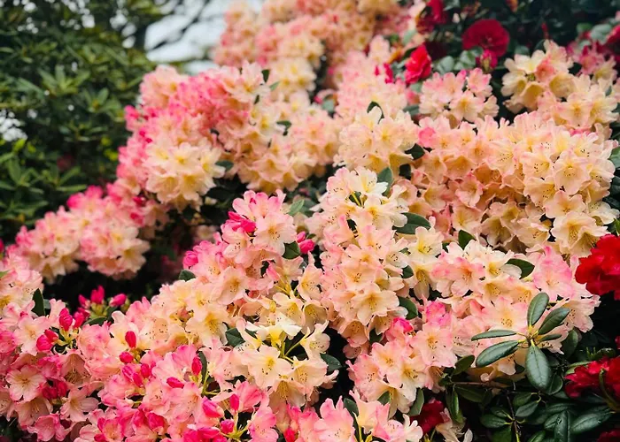 Δωμάτια σε οικογενειακή κατοικία 1 Bed - 10 Min Walk To Castle