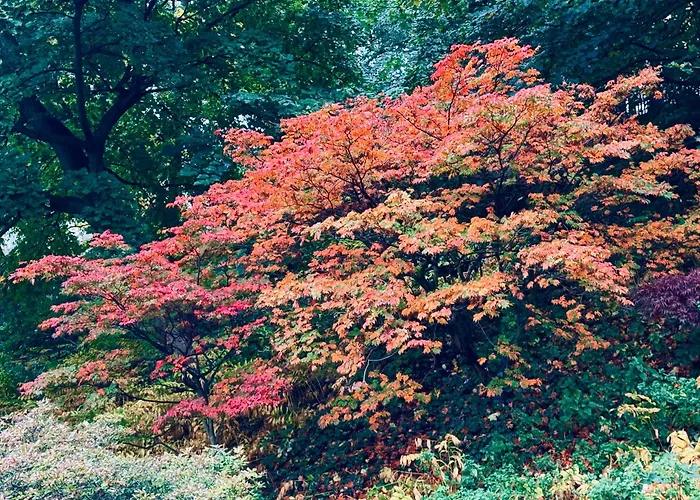 1 Bed - 10 Min Walk To Castle * Εδιμβούργο