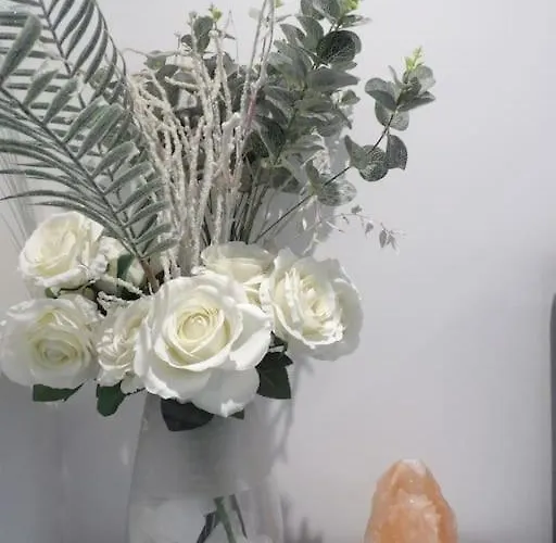 Modern 3bhk Near Zoo 아파트 *