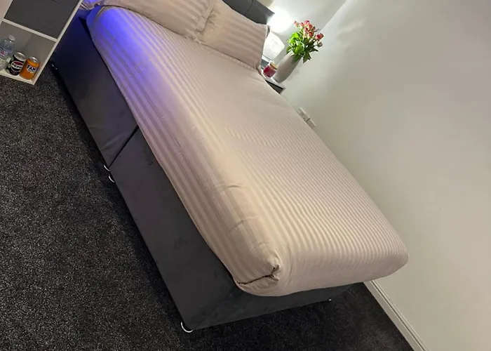 Cozy *
