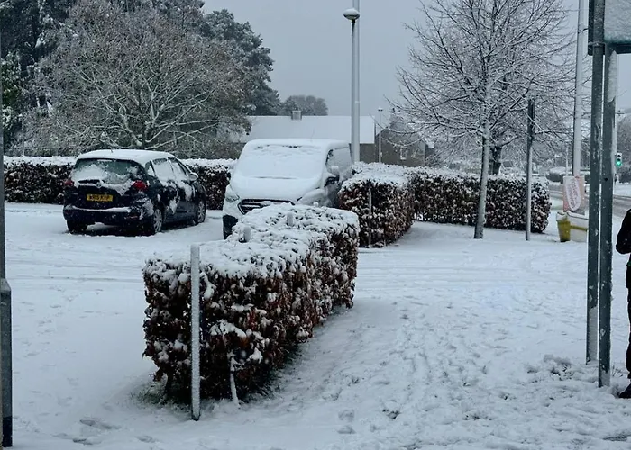 Apartment The Metro Oasis *