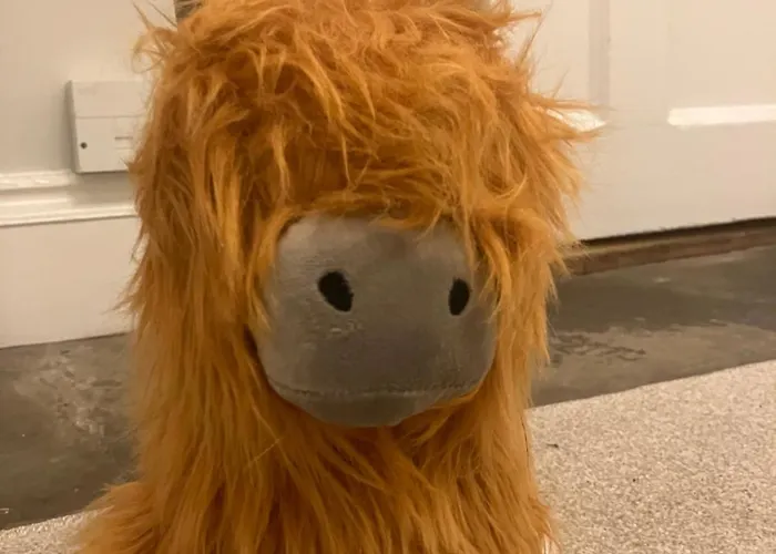 Spacious In * Edinburgh