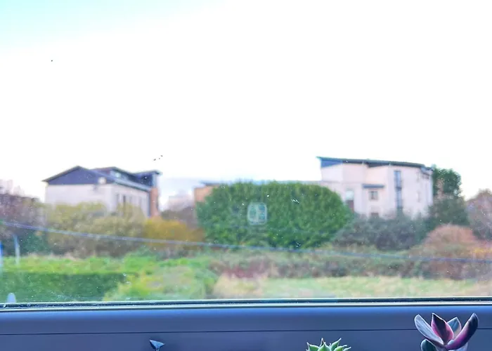 Peace In The Edinburg