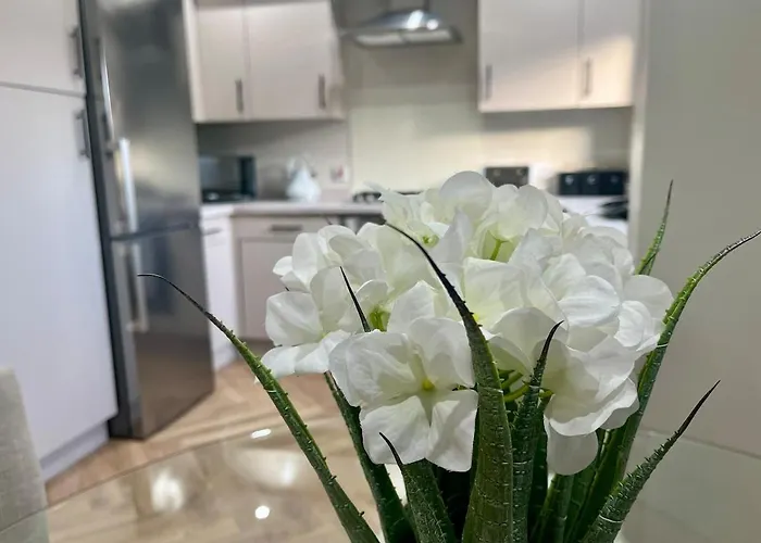 Luxury Spacious 4 Dbl Br House With Free Parking Lejlighed *