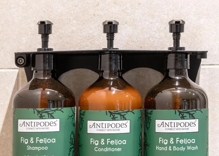 阿佩克斯跳蚤市场酒店 4*