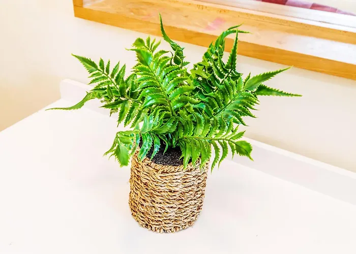 Large Super 3 Bed -princes Street, Parking إدنبرة