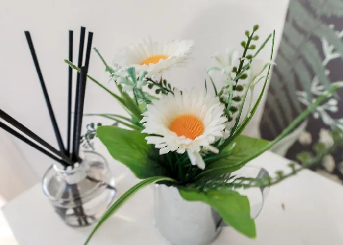 Gorgeous, Cozy 2br Royal Mile-old Town 公寓 *