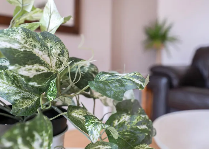 公寓 Gorgeous, Cozy 2br Royal Mile-old Town 爱丁堡