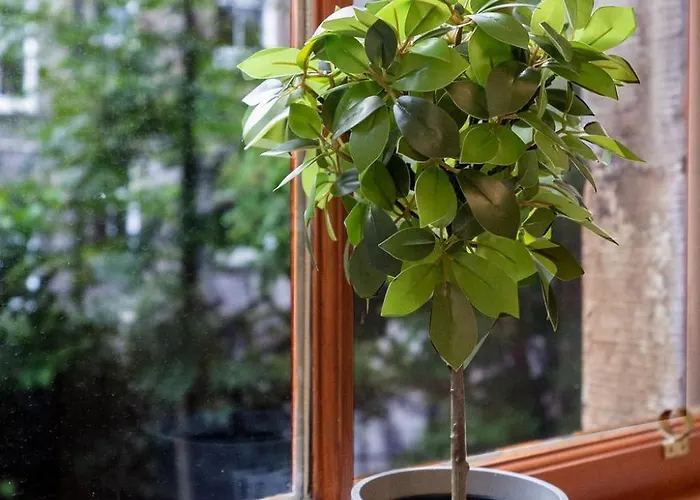 Central, Cozy 2br-1ba-haymarket - With Parking דירה *