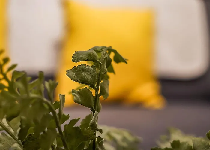 דירה Beautiful Designer 2 Bed 2 Bath Old Town - Parking אדינבורו