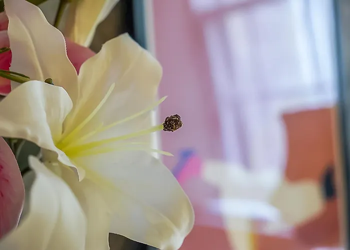 Beautiful Designer 2 Bed 2 Bath Old Town - Parking