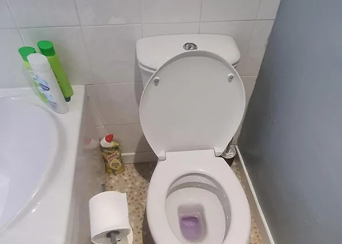 Bright & Spacious Flat By Murrayfield Stadium דירה *