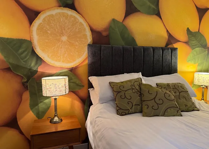 The Pleasance אדינבורו