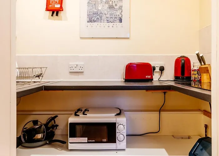Delightful Ground Floor Newington Flat 公寓 *
