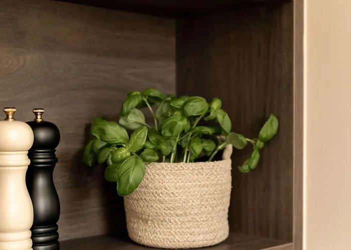 Moment George Iv Bridge Edinburgh