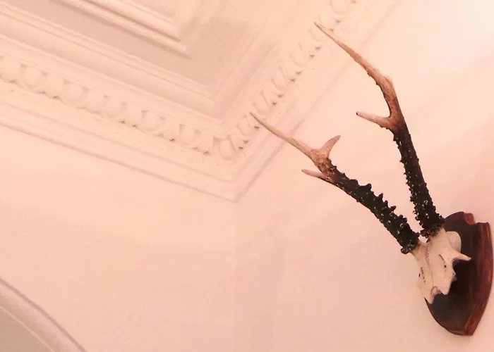 Antler Эдинбург