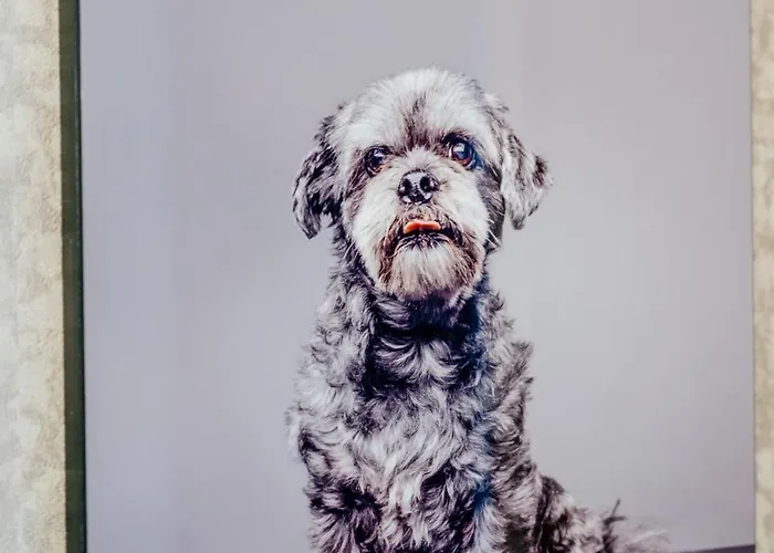 Appartement Roseburn Retreat 2b Free Parking *