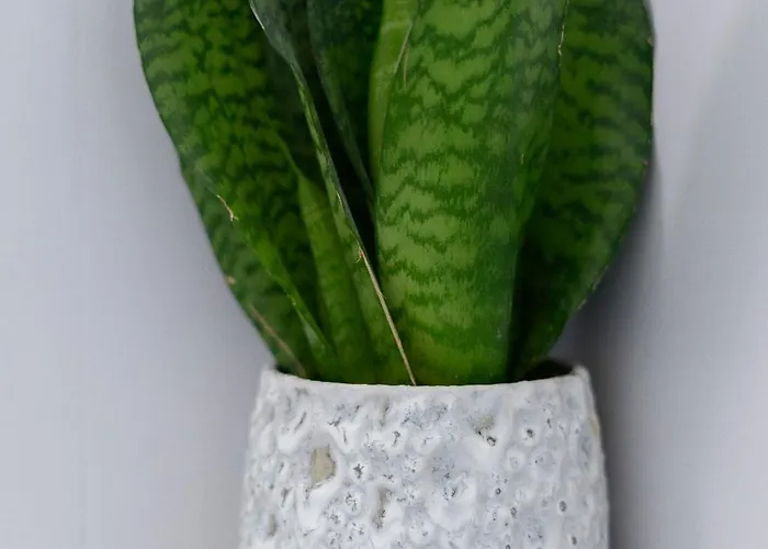 Centre House - 5 Bedrooms - Sleeps 9 - Parking Hébergement de vacances Édimbourg