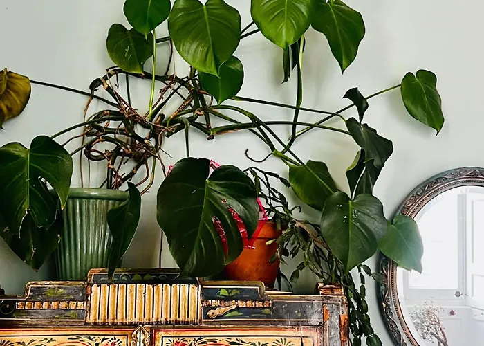 شقة With Parking, Original Art And Antiques