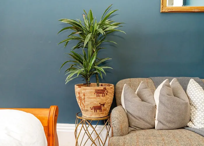 Apartment Stunning Flat, New Town, - Perfect Location Edinburgh