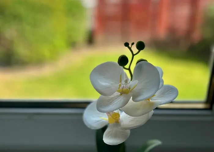 Appartamento Comfy Two Bedroom Flat *