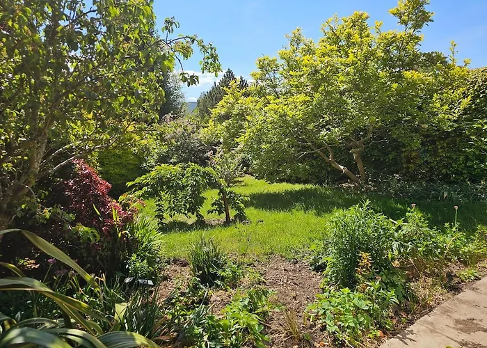 The Robin House In Ravelston Hébergement de vacances *