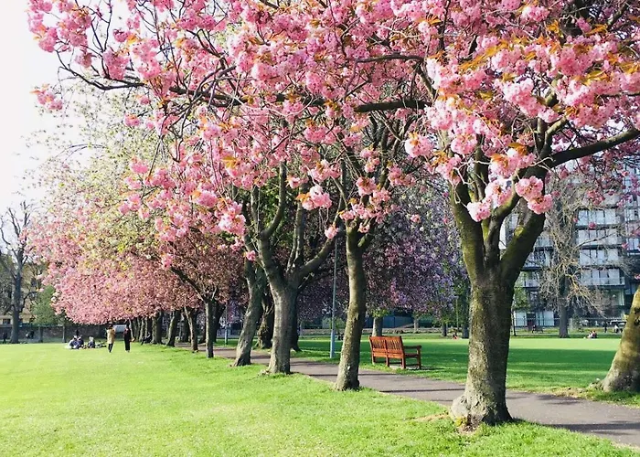 דירה Centre - Meadows