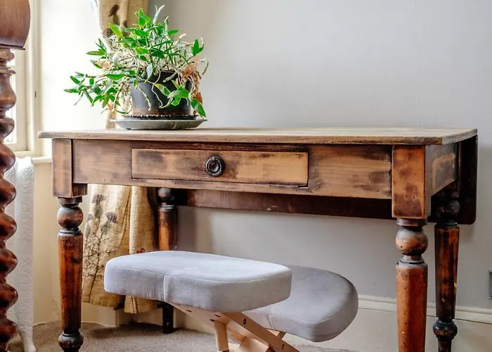 Craig S Lair Boho Jungle Apartment Edinburgh
