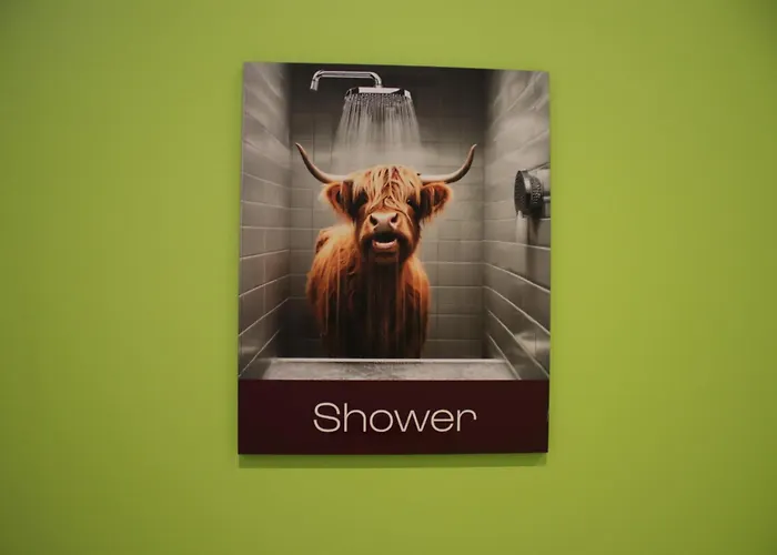 Vandrarhem Safestay Cowgate Edinburg