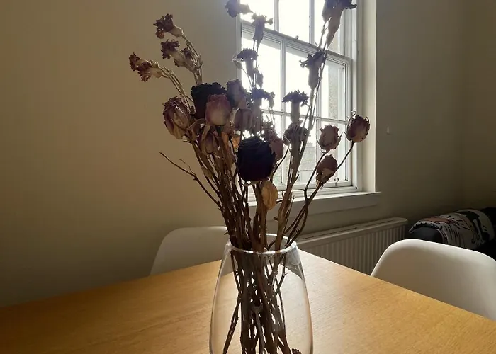 Apartmán Centre - George Square