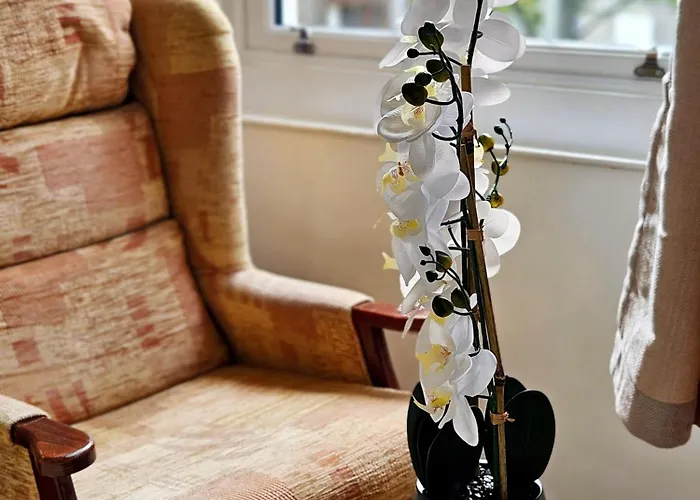 Urban Oasis Apartment Edinburgh