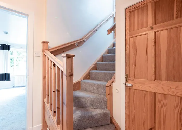 Stag's View * Edynburg